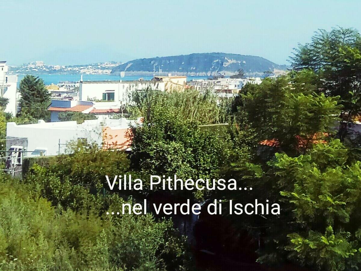Villa Pithecusa Ischia Exterior photo
